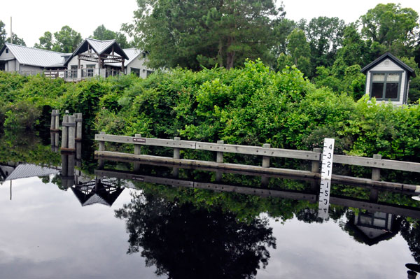 the black waters at Dismal Swamp State Park